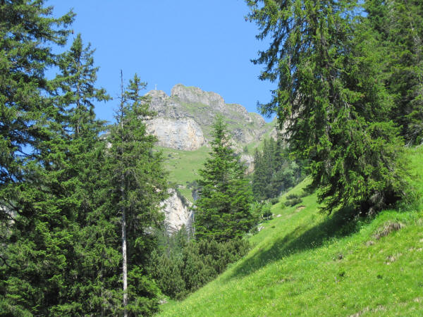 Wildheuerpfad